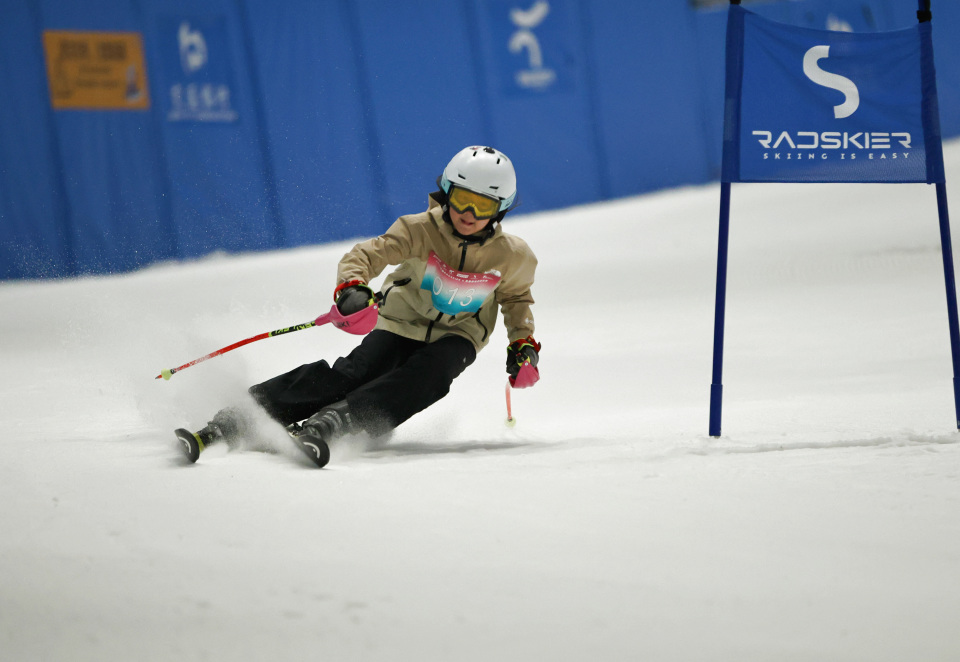 RdVvu, zblcb, 回转项目选