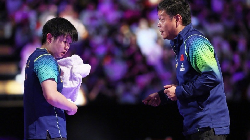 此前在WT 此前在WT